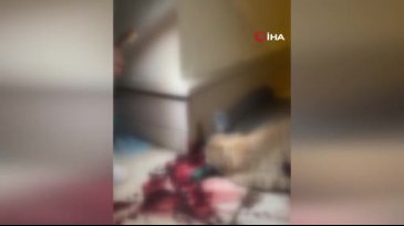 Kendisine saldıran sokak köpeğini silahla vurdu