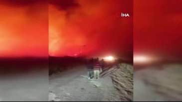 Hatay'da orman yangını