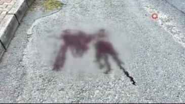 Mezarlık önünde kardeş kavgası cinayetle bitti