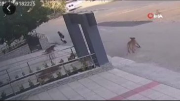 Bursa'da son anda kurtuldular! O anlar kamerada...