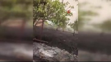 Bursa'da yangın büyüyor! Büyükşehir'den açıklama
