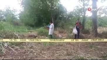 Tarladan çıkan kafatası ve kemikler çiftçiyi şoka uğrattı! Esrarengiz olayın sırrı çözüldü