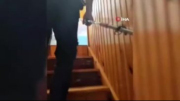 Evde yılan paniği!