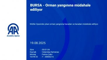 Bursa'da orman yangını: Çok sayıda ekip sevk edildi!