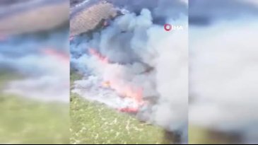 Bursa'daki orman yangınıyla ilgili flaş gelişme!