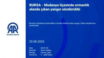 Bursa'da korkutan yangın! Ekipler sevk edildi