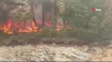 Bolu'da orman yangını başladı: Havadan ve karadan müdahale sürüyor