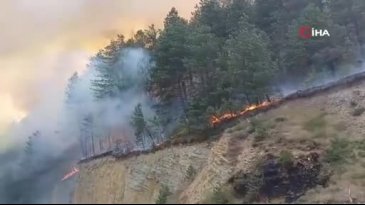 Bolu'da orman yangını: Karayolu ulaşıma kapatıldı