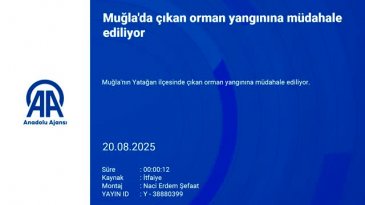 Muğla'da yangınla mücadele! Ekiplerin mücadelesi sürüyor...