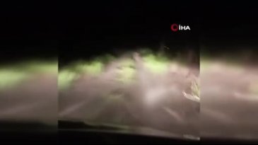Vatandaşlar köye inen vatandaşlar ayıyı böyle kovaladı