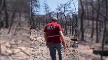 Gürsu'nun yanan ciğerleri yeniden hayat bulacak