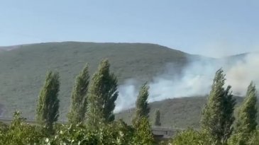Bursa'da orman yangını! Çok sayıda ekip sevk edildi...