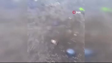 Bursa sahillerinde tedirginlik yaratan görüntü!