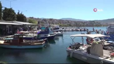 Bursa'da müsilaj kabusu bitti derken diğeri başladı!