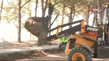 Bursa'ya devasa park ve mesire alanı!