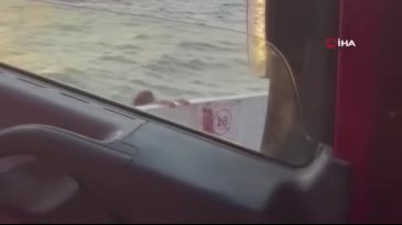 Kadın yolcu feribottan kendini denize böyle attı