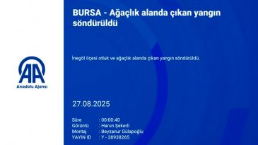 Bursa'da ağaçlık alan alev alev yandı!
