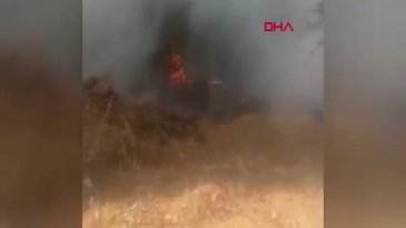 Bursa'da ağaçlık alan alev alev yandı!