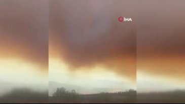 Bursa'da amansız yangın mücadelesi sürüyor!