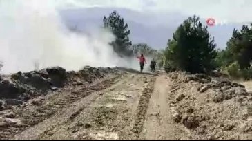 Devasa yangın 20 saat sonra kontrol altına alındı! 'Karga' detayı dikkat çekti...