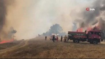 Bursa'da orman yangını! Ekipler sevk edildi