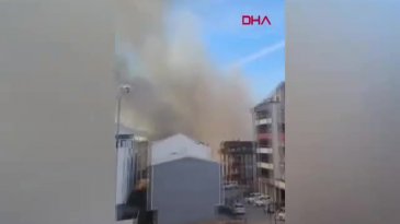 Bursa'da çamlık yangını; yerleşim yerlerine sıçramadan söndürüldü