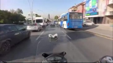 Trafiği tehlikeye soktu! Yolun ortasında uyudu, o anlar kamerada
