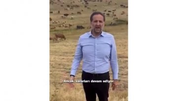 Arkasına hayvan sürüsünü alan vekil, Bakan Yumaklı'ya seslendi