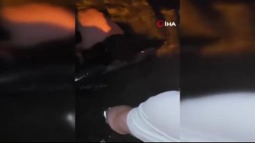 Bursa'da gece saatlerinde kıyıya vurdu! Vatandaşlar tarafından...