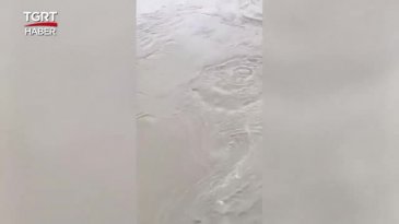 Arkadaşlarıyla iddiaya girdi, 200 lira uğruna nehre atladı! 8 gündür aranıyor
