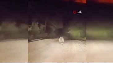 Bursa'da dağ yolunda panik anları! Yetkililer uyardı...