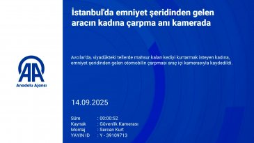 Kediyi kurtarmak için yola fırladı! Neredeyse sonu oluyordu...
