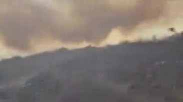 Bursa'da yine alevler yükseldi! Ekiplerin müdahalesi sürüyor...