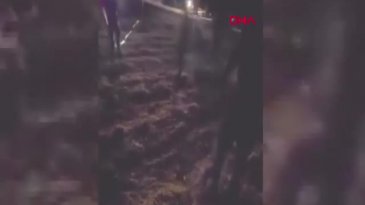 Seyir halindeki araca silahlı saldırı! Bir aile yok oldu...