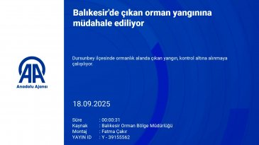 Yaz bitti yangınlar bitmedi! Bursa'nın komşusunda alevler yükseldi...