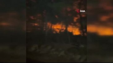 Muğla'da orman yangınına müdahale devam ediyor