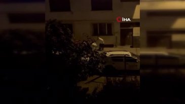 Bursa'da mahalleyi ayağa kaldıran kavga! Tekme tokat darp