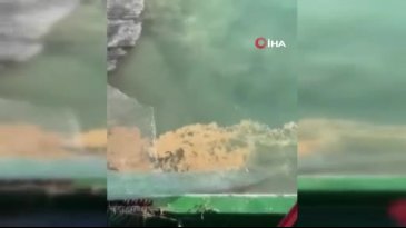 Kabus geri döndü, uzmanlar uyardı! Kış boyu sürebilir