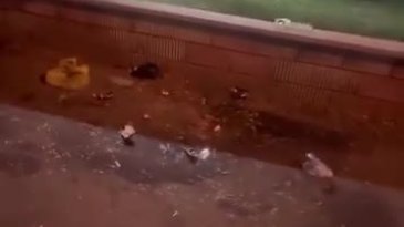 Bursa'da mahalle sakinlerinden tepki! Kötü koku...
