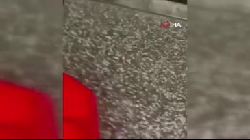 Bursa'da mağazayı kundaklamıştı: Flaş gelişme!