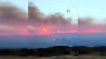 Bursa'da orman yangını...Rüzgarın etkisiyle büyüdü