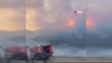 Bursa'daki yangın büyüyor! Boğaz yolu çift yönlü trafiğe kapandı...