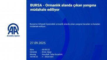 Bursa'da bir yangın daha! Müdahale başladı