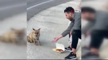 Uludağ yolunda sıra dışı karşılaşma!