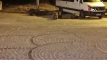 Bursa'da sıra dışı gece!