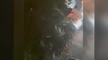 Tekme tokat yol verme kavgasına girişmişlerdi! Bedeli ağır oldu...
