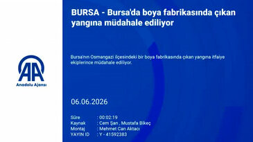 Gökyüzünü duman kapladı! Bursa'da boya fabrikasında yangın