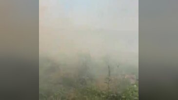 Bursa'da korkutan yangın! İznik Gölü'nde panik anları...