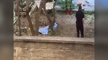Bahçede kanlar içinde bulundu! Yanındaki detay kafaları karıştırdı