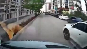 Trafikte Gerilim Tırmandı: Sürücüler Arasındaki Tartışma Kameraya Böyle Yansıdı